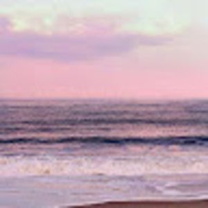 Meet your Posher, Purpleocean